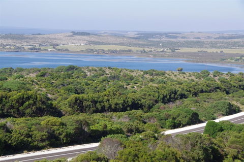 Pelican Lagoon - Tourism Canberra 0
