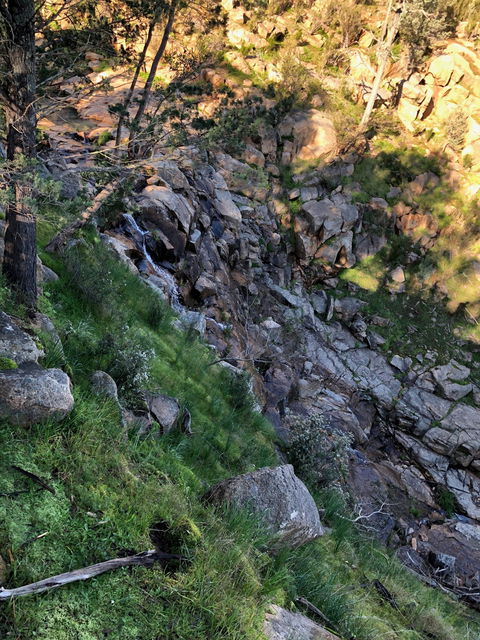 Pine Gully Nature Trail - Tourism Canberra 0