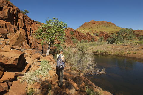 Rail Access Roads - Pilbara - Tourism Canberra 1