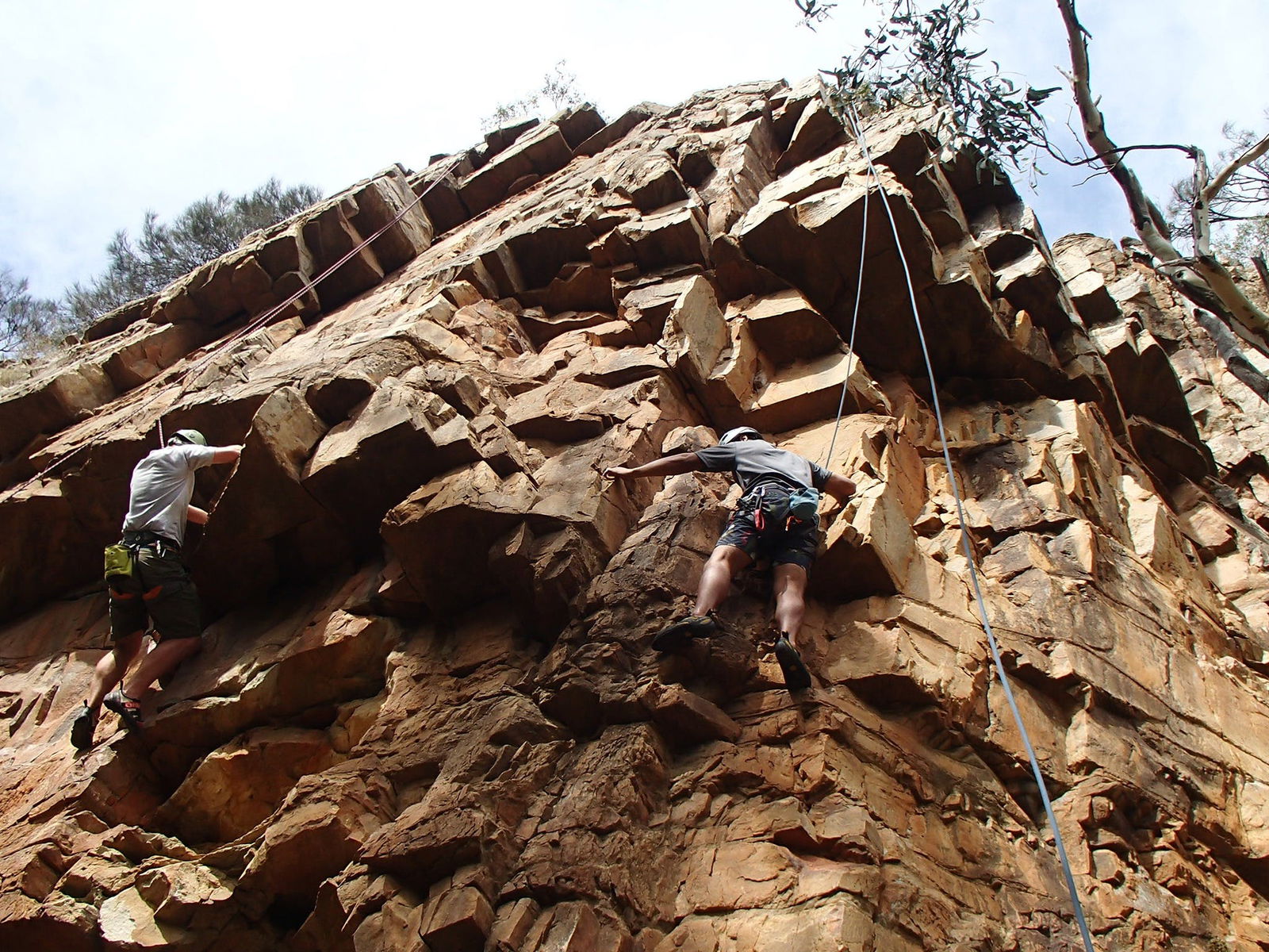 Woodforde SA Tourism Canberra
