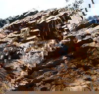 Rock Climbing in Morialta - Tourism Canberra