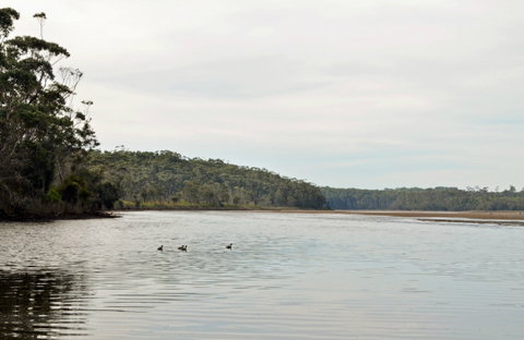 Tabourie Lake - Tourism Canberra 0
