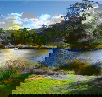 Tasmanian Arboretum Inc. - The - Tourism Canberra