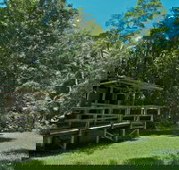 Terania Creek Picnic Area - Tourism Canberra