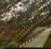 The Briars Park Walking Trails - Tourism Canberra