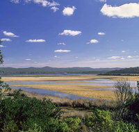 Wallagoot Lake Picnic Area and Boat Ramp - Tourism Canberra