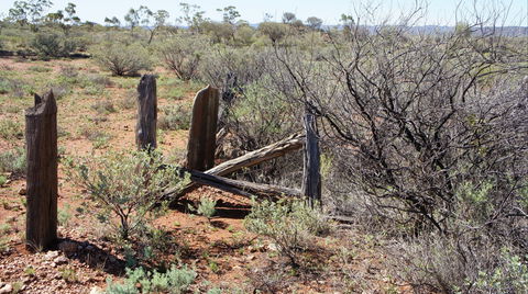 Winnecke Goldfield Cemetery - Tourism Canberra 2