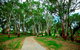 Adungadoo Pathway - thumb 0
