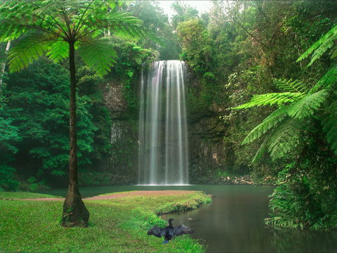 Atherton Tablelands - Tourism Canberra 0