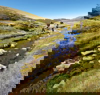 Australian Alps Walking Track - Tourism Canberra
