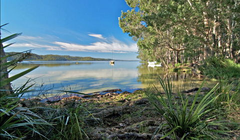 Black Oaks Picnic Area - Tourism Canberra 0