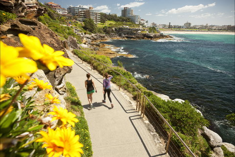 Bondi To Coogee Coastal Walk - Tourism Canberra 2
