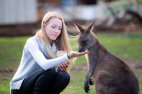 Bonorong Wildlife Sanctuary - Tourism Canberra 1