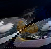 Bronwyn Clarke Ceramics - Tourism Canberra