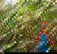 Canungra - Tourism Canberra