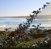 Cape Conran Coastal Park - Tourism Canberra