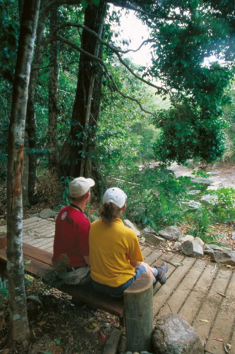 Cedar Creek Falls - Tourism Canberra 1