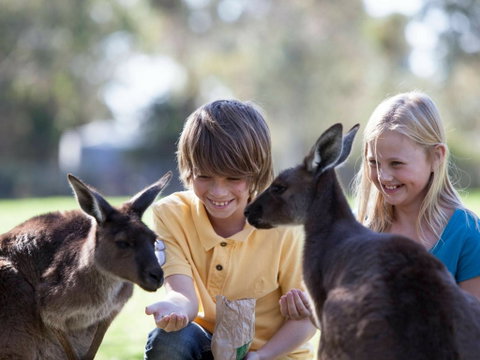 Cleland Wildlife Park - Tourism Canberra 1