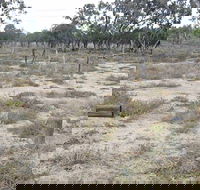 Culgoa Connellys Track - Tourism Canberra
