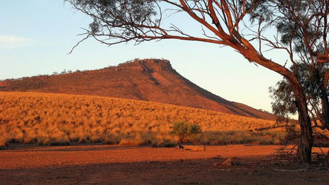 Dutchman Stern Conservation Park Trail - Tourism Canberra 0