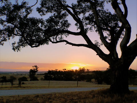 Eden Valley Lookout - Tourism Canberra 0