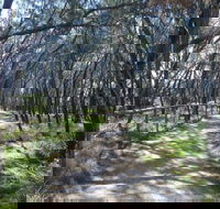 Federation Walk - Tourism Canberra
