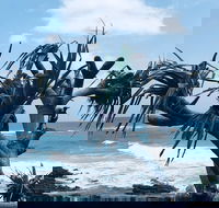 Hastings Point Beach - Tourism Canberra