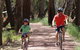 Hay Free Push Bikes - thumb 1