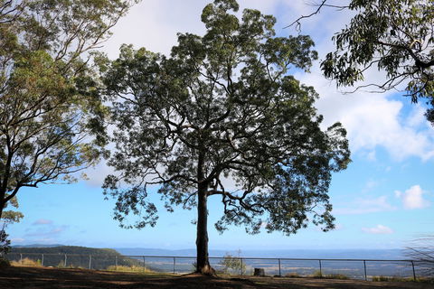 Heaton State Forest - Watagan Mountains - Tourism Canberra 2