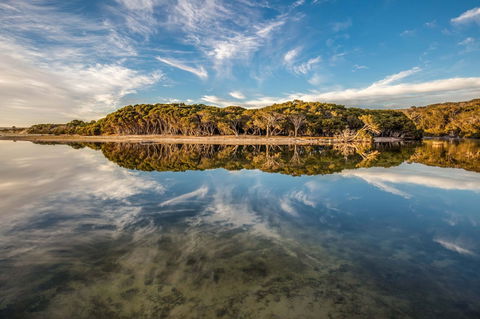 Lashmar Conservation Park - Tourism Canberra 0