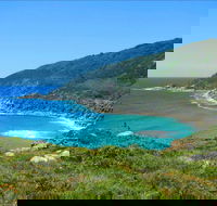 Little Bay Beach - Tourism Canberra