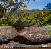Marramarra Ridge to Smugglers Ridge walking track - Tourism Canberra