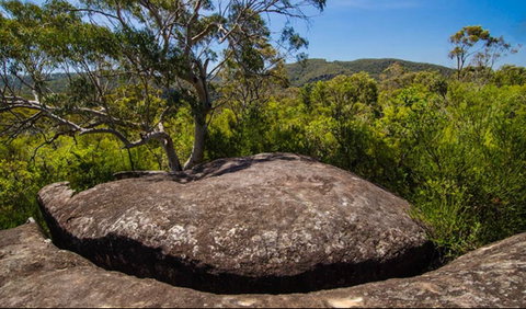 Marramarra Ridge To Smugglers Ridge Walking Track - Tourism Canberra 0