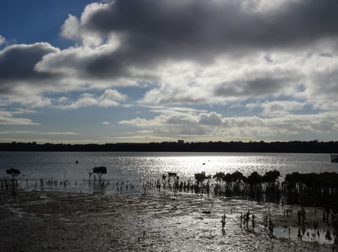 Marine Parade (Hastings Foreshore Reserve) Circuit - Cycling - Tourism Canberra 0