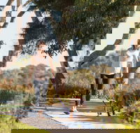 Meningie Walking and Cycling Trails - Tourism Canberra