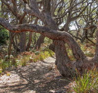 Middle Lagoon Walking Track - Tourism Canberra