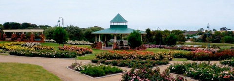 Mornington Botanical Rose Gardens - Tourism Canberra 0