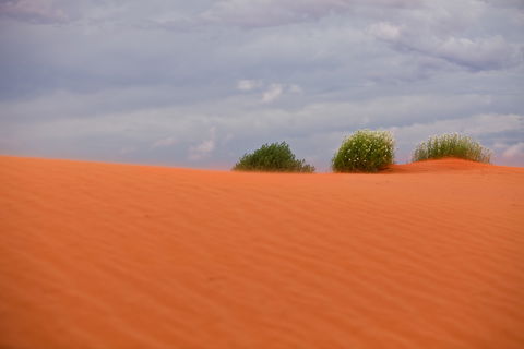 Munga-Thirri - Simpson Desert Conservation Park And Regional Reserve - Tourism Canberra 0