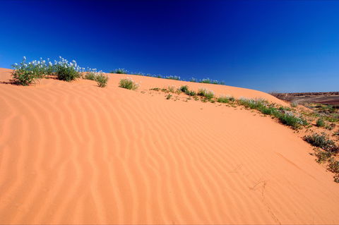 Munga-Thirri - Simpson Desert Conservation Park And Regional Reserve - Tourism Canberra 1