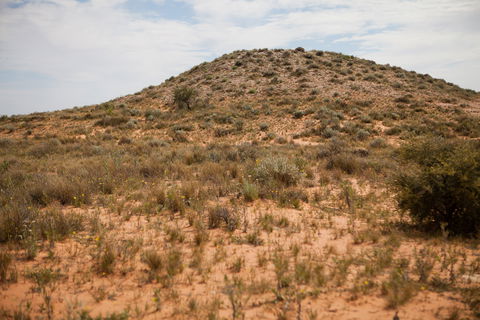 Munga-Thirri - Simpson Desert Conservation Park And Regional Reserve - Tourism Canberra 2