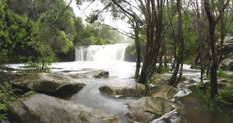 Nellies Glen Carrington Falls - Tourism Canberra 0