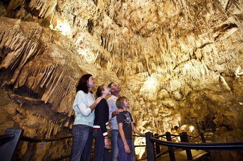 Ngilgi Cave - Tourism Canberra 1