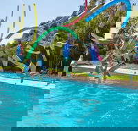 Oaklands War Memorial Swimming Pool - Tourism Canberra
