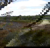 Penola Conservation Park - Tourism Canberra