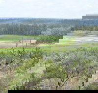 Princess Hills Girringun National Park - Tourism Canberra
