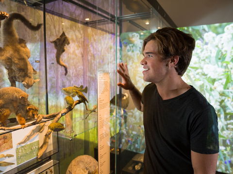 Queensland Museum - Tourism Canberra 0