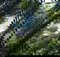 Rainforest Walking Track Hat Head National Park - Tourism Canberra