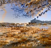 Rennix walking track - Tourism Canberra