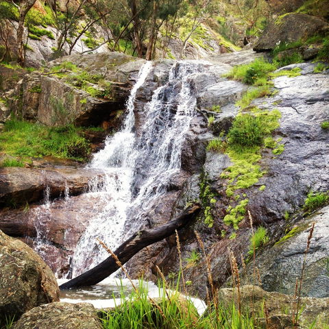 Salisbury Falls Walk - Tourism Canberra 1
