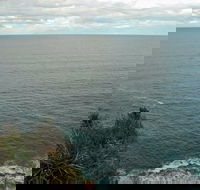 Snapper Point Lookout